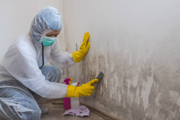 Best Crawl Space Mold Removal  in Larned, KS