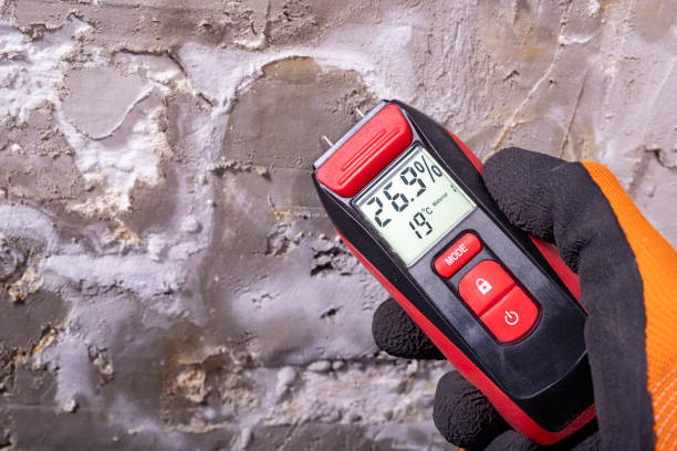 Best Commercial Mold Removal  in Larned, KS