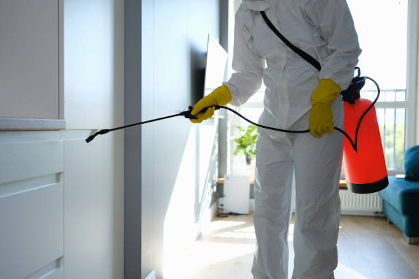 Best Certified Mold Removal  in Larned, KS