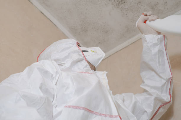Best Mold Testing  in Larned, KS